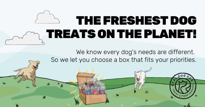 Real Dog Box: Monthly Dog Nutrition Discovery Box