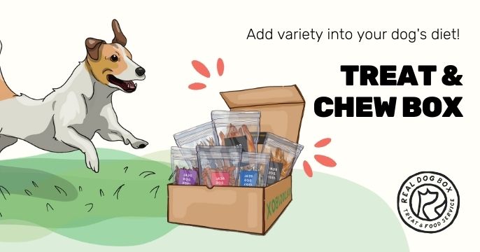 Dog subscripti s box shops for chewers